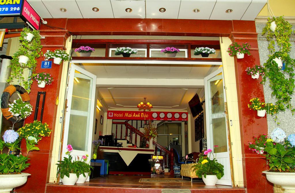 Mai Anh Dao Hotel Da Lat Pokój zdjęcie